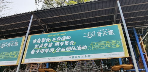 從藍圖到精彩 大型公司團建拓展活動的完美組織全攻略